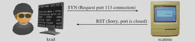 Rys. 7. Skanowanie SYN zamkniętego portu 113(źródło: https://nmap.org/book/synscan.html).