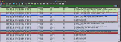 Rys. 5. Wykorzystywany adres IP oraz port przez malware.