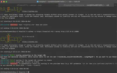 Fig. 10. Using the SQLMap tool to establish a connection with the analyzed server using the DNS name.