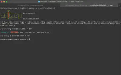 Fig. 9. Attempt to use the SQLMap tool to establish a connection with the analyzed server using the DNS name.