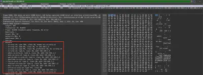 Fig. 12. Detected DNS Zone Transfer.