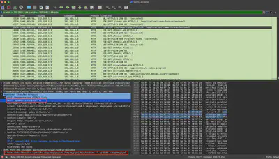 Fig. 13. Detected compromised subdomain and the command that gave the attacker access.