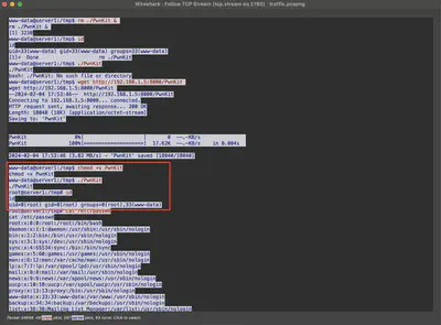 Fig. 17. Detected reverse shell communication and the command used for privilege escalation.