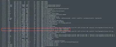 Fig. 26. Partial list of processes found in the <code>Memory_WebServer.mem</code> file.