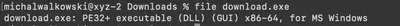 Fig. 40. Confirmation using the file command of the downloaded executable for Windows.
