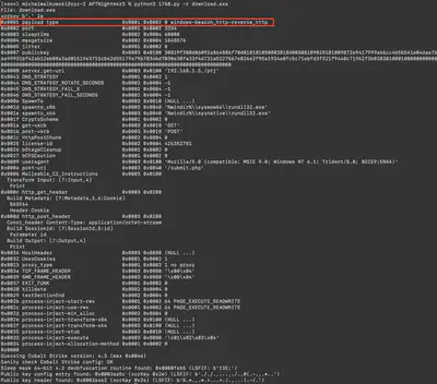 Fig. 42. Detected payload type of the malicious file.