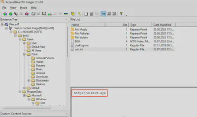 Fig. 13. Active C2 domain recorded in the configuration file on the victim&rsquo;s computer.