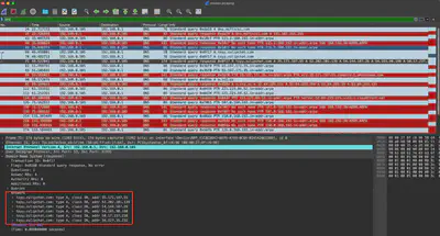 Fig. 7. IP addresses assigned to <code>toyy.zulipchat.com</code>.