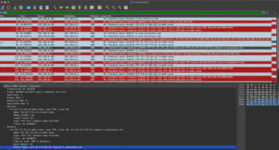 Fig. 8. Detected FQDN.