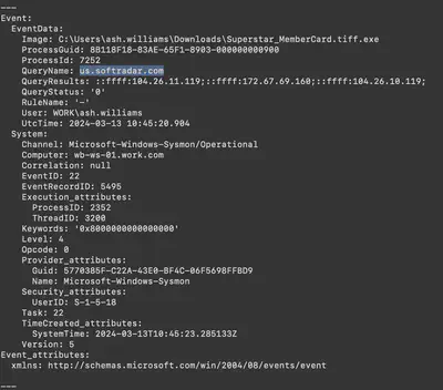 Fig. 10. Detected event log containing the domain.