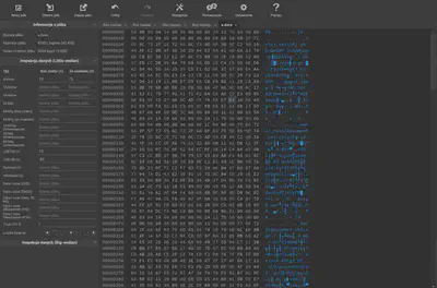 Fig 21. Editing the file in hexed.it.