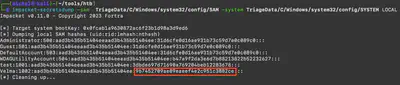 Fig. 9. Number of hashes contained in the SAM file.