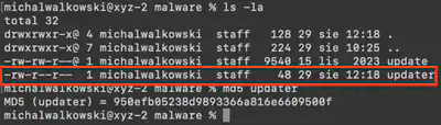 Fig. 11. Obtained key and its MD5 hash.