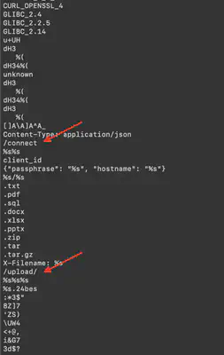 Fig. 4. Result of the <code>strings ubuntu-client</code> command.