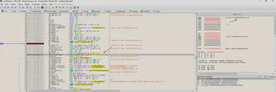 Fig. 27. FQDN address the ransomware connects to.