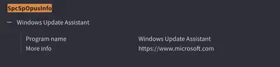 Fig. 3. The SpcSpOpusInfo section on VirusTotal.